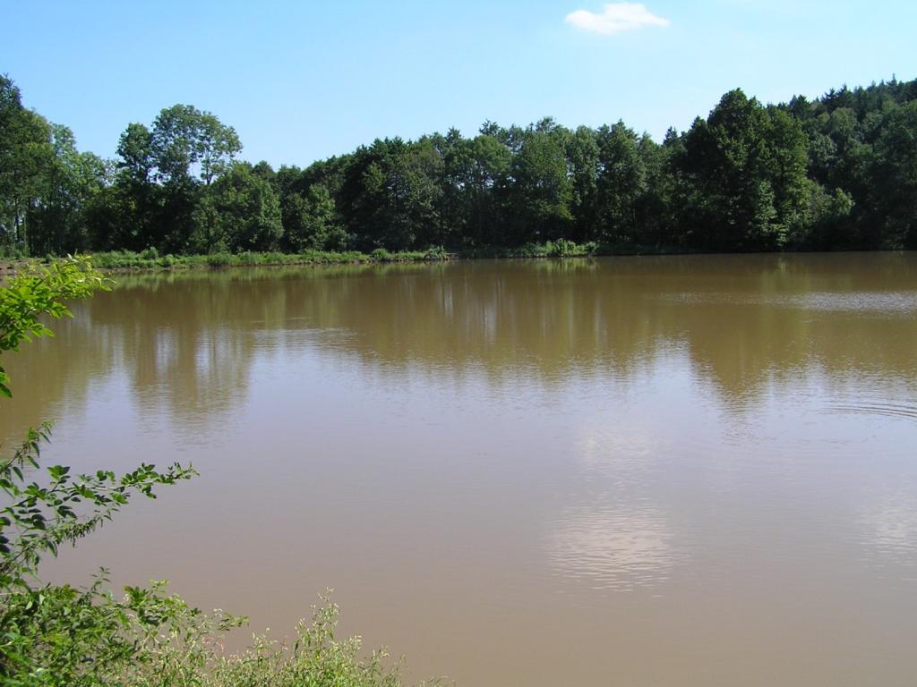 Jíkavec Ostružno u Jičína