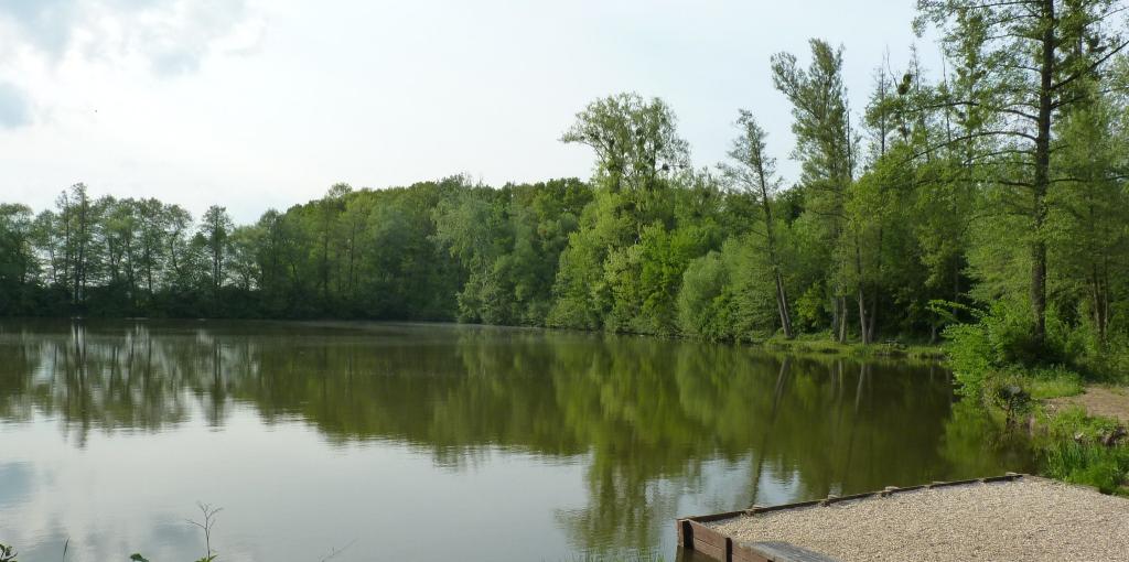 Rybník Dombas Bezměrov