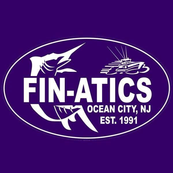 FIN-ATICS