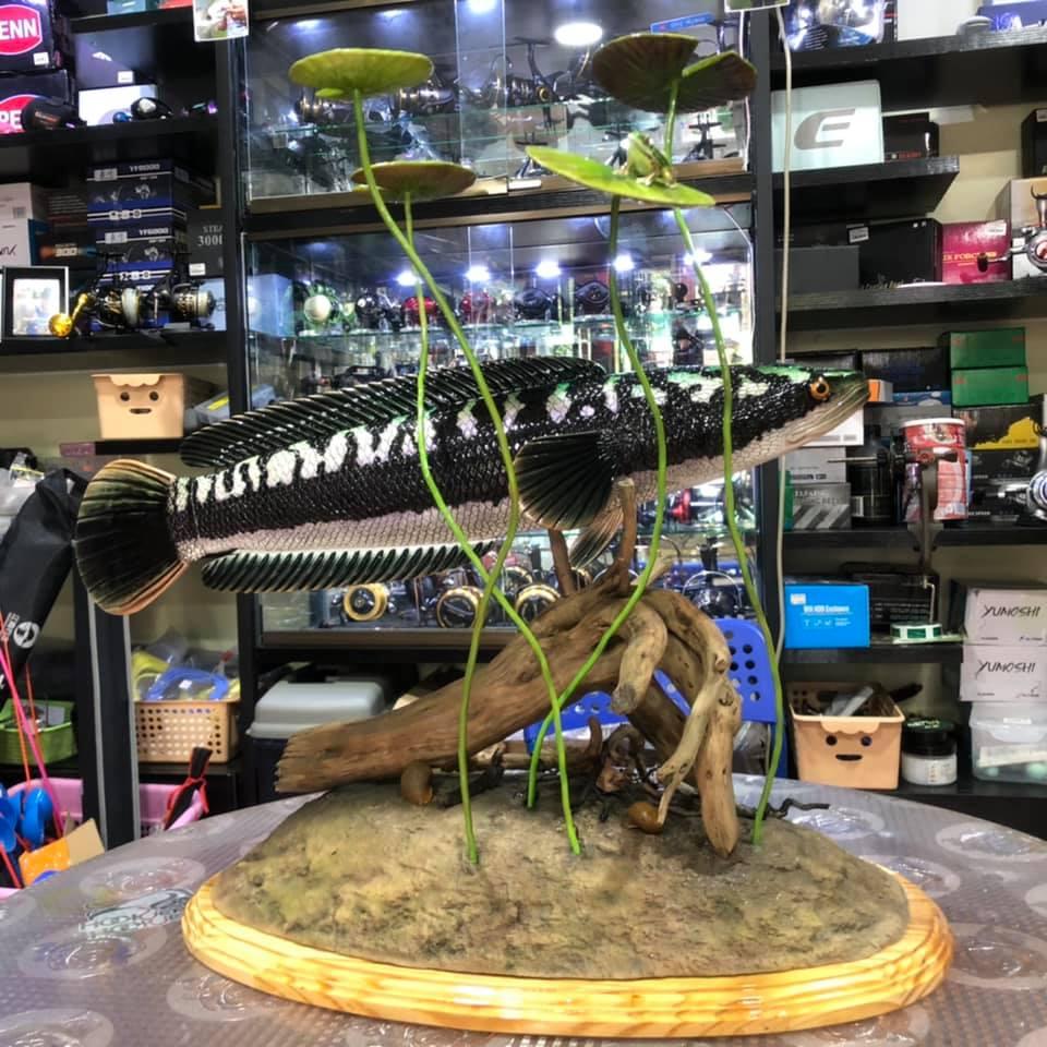 Ocean Master Fishing Game's Myanmar