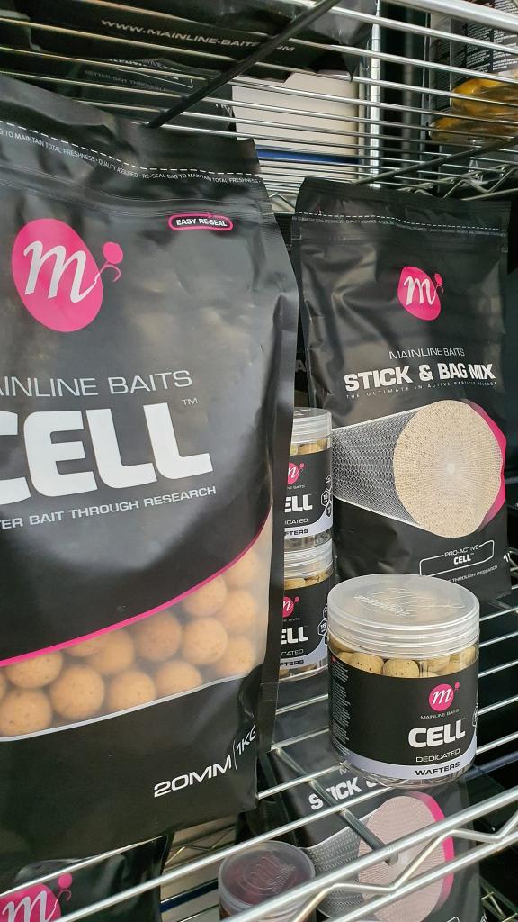 Bologna Fishing Market