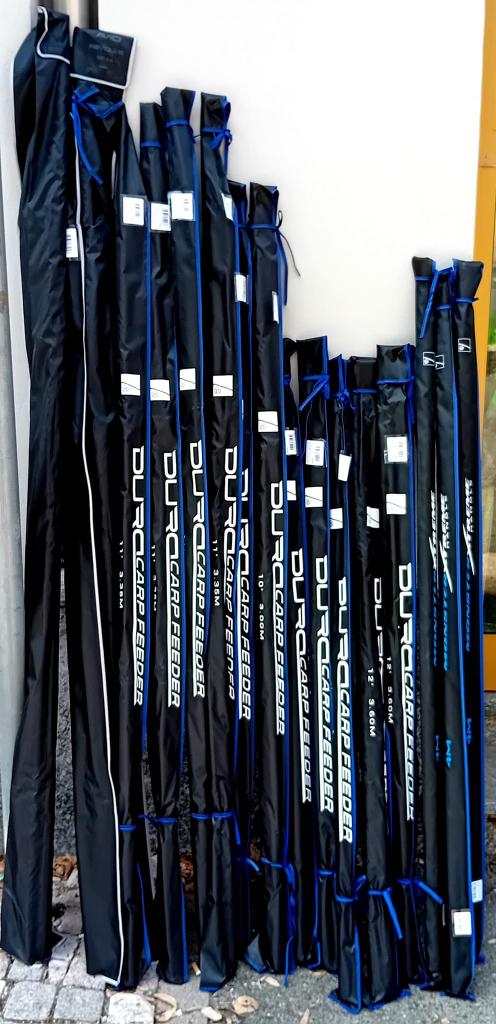 Monster Fish Alessandria