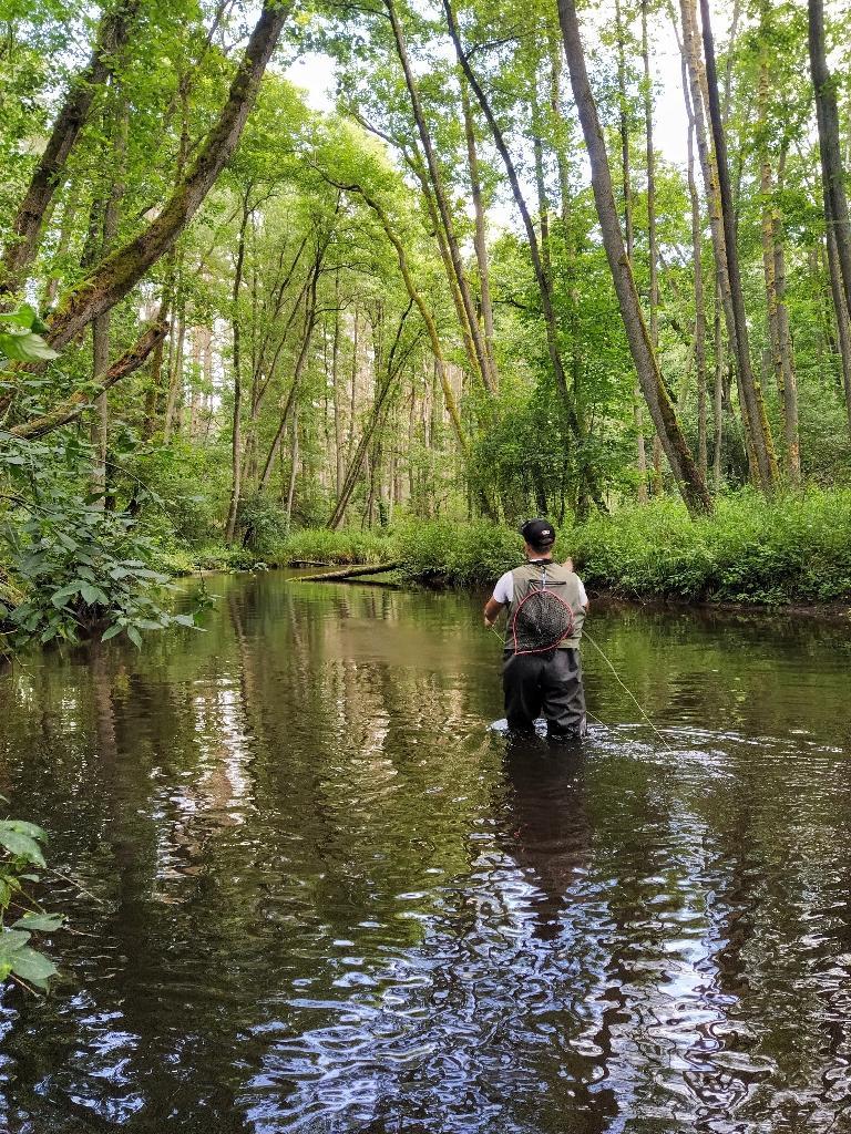 River fishing: general guidelines, tips, and techniques - Fishsurfing