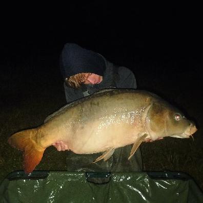 Carp fisher
